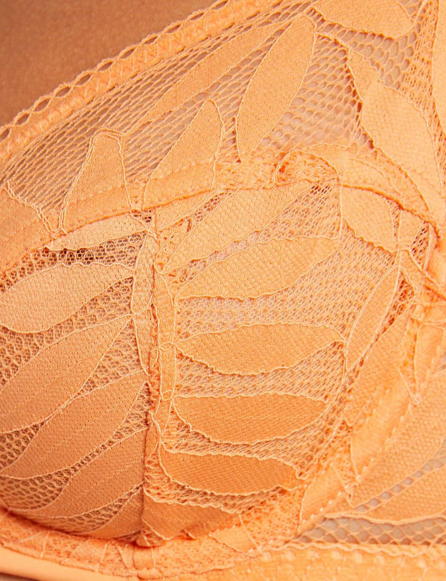 LINA Underwired BCD Bra