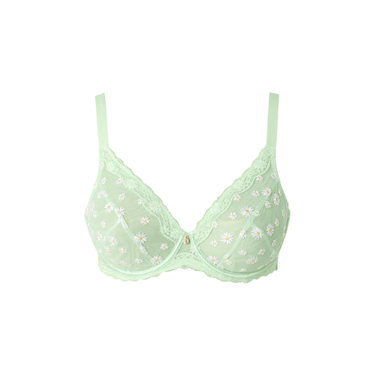 DELICATESSE SG Armatures GT