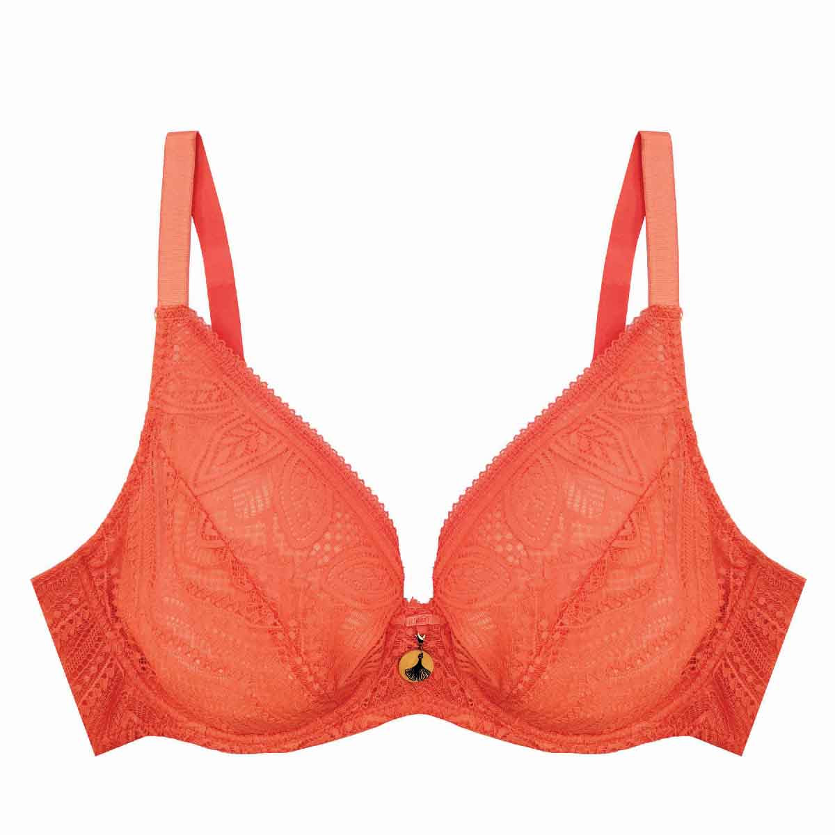 ETHICAL Underwired Bra CDE