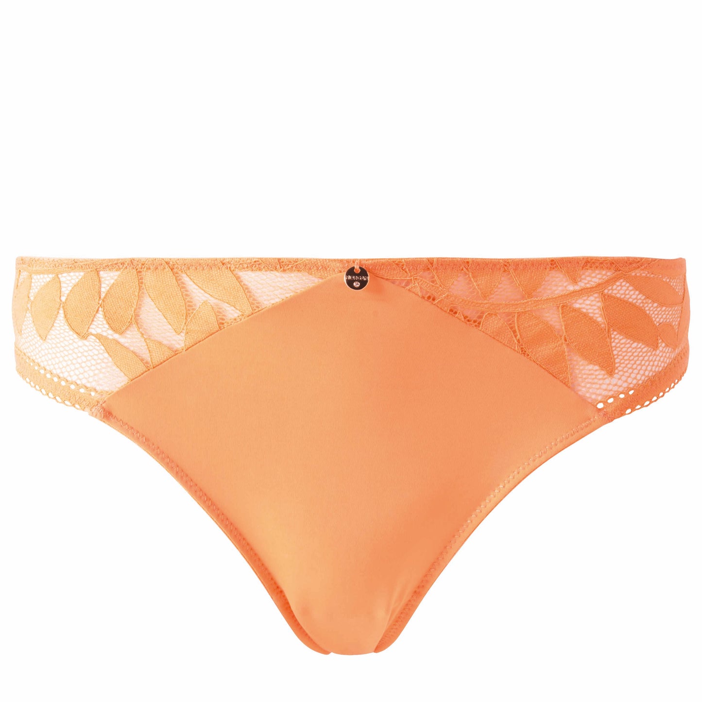 LINA Brief