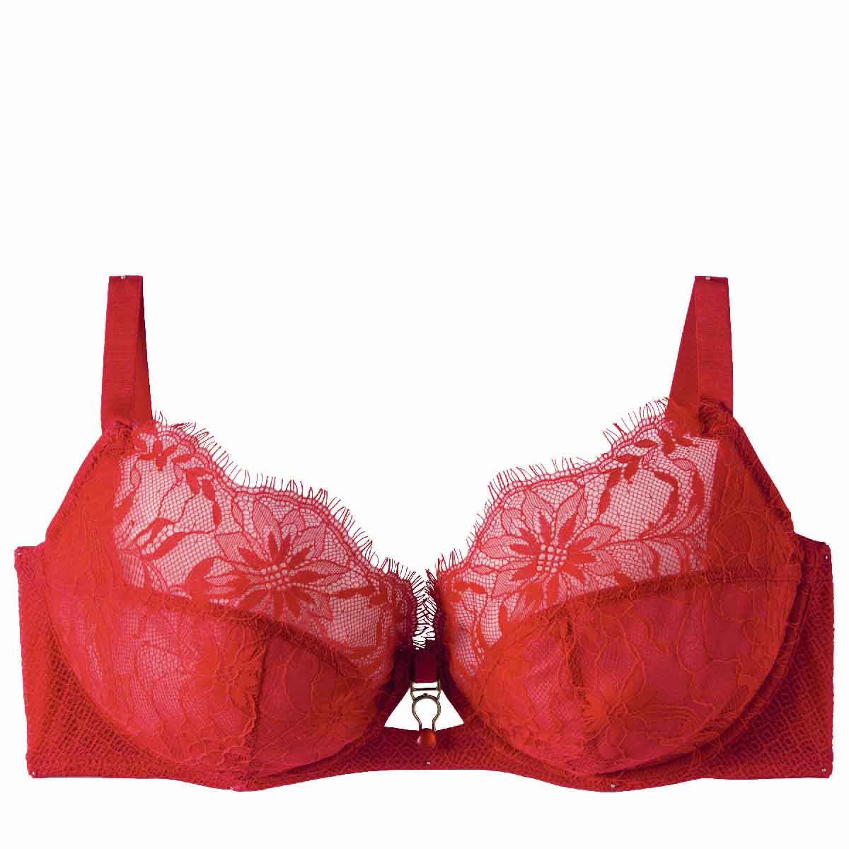 SEDUCTION Underwired Bra CDE